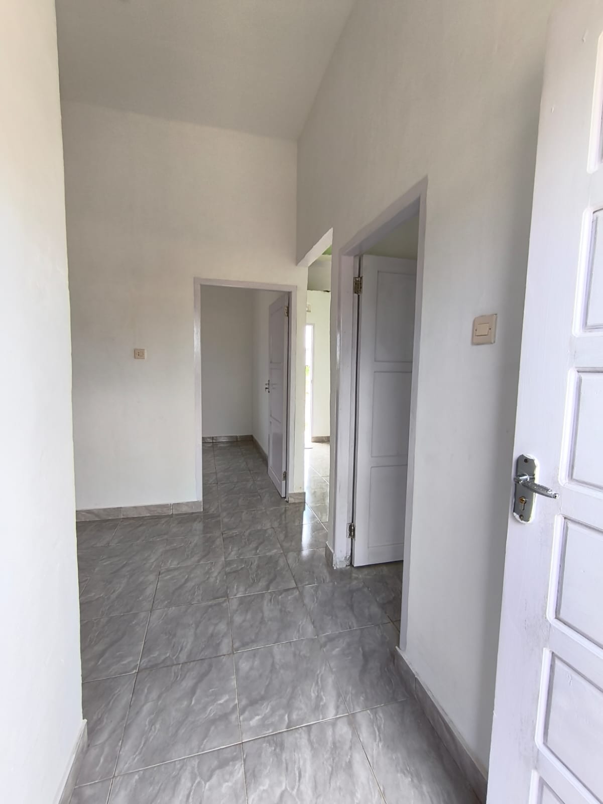 WhatsApp Image 2026-02-10 at 12.54.45